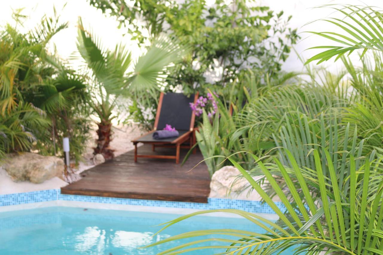 New House Tropic Paradise With Pool Willemstad Exterior photo