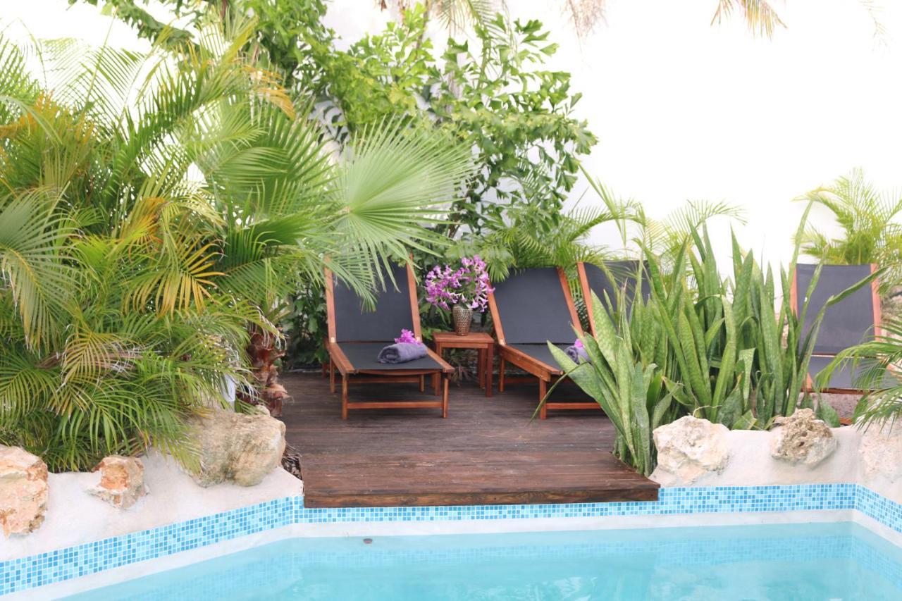 New House Tropic Paradise With Pool Willemstad Exterior photo
