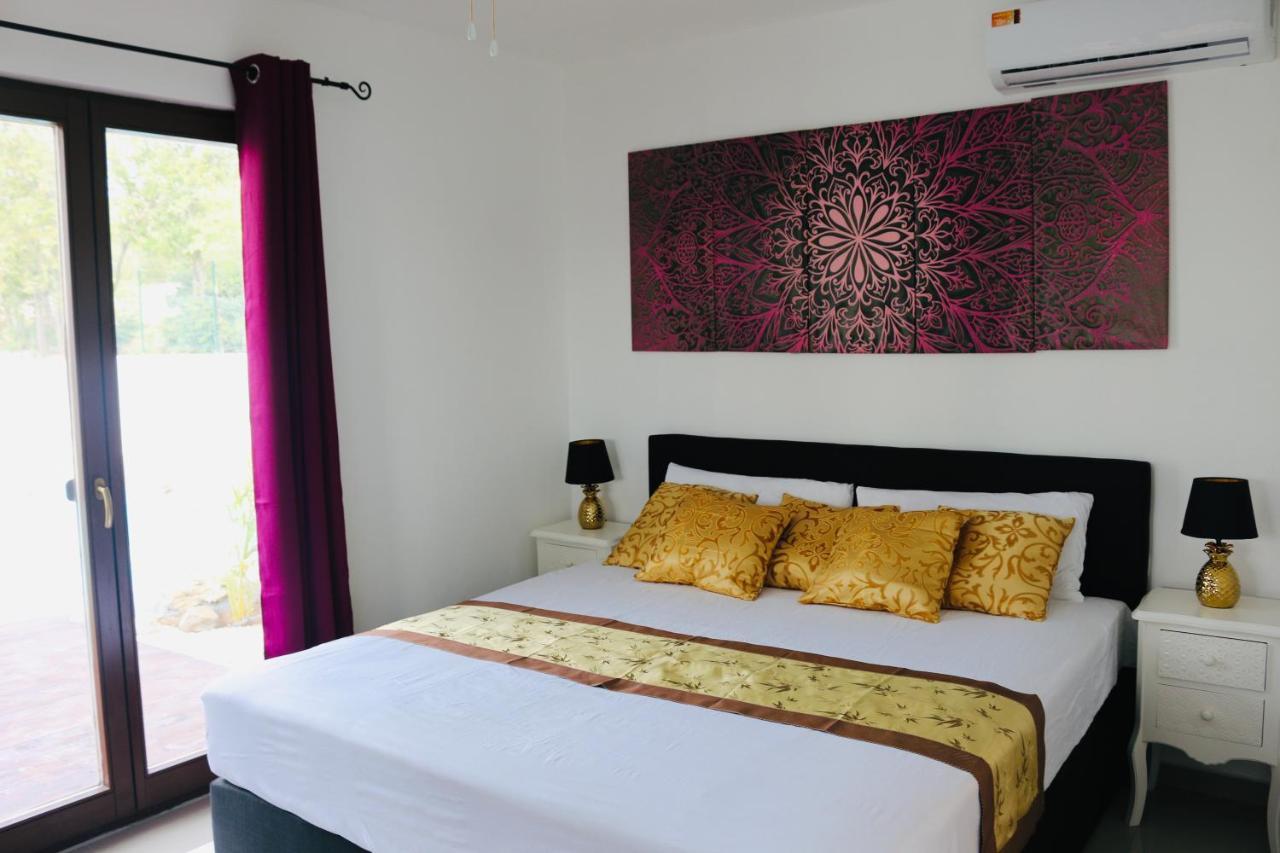 New House Tropic Paradise With Pool Willemstad Exterior photo